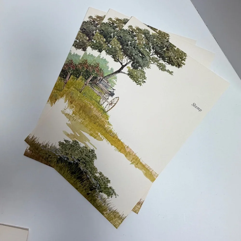 Lot of 12 S.W. Landscape Art Postcards Rustic Country Scenic Unused